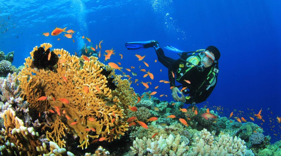 Scuba Diving in Andaman Islands