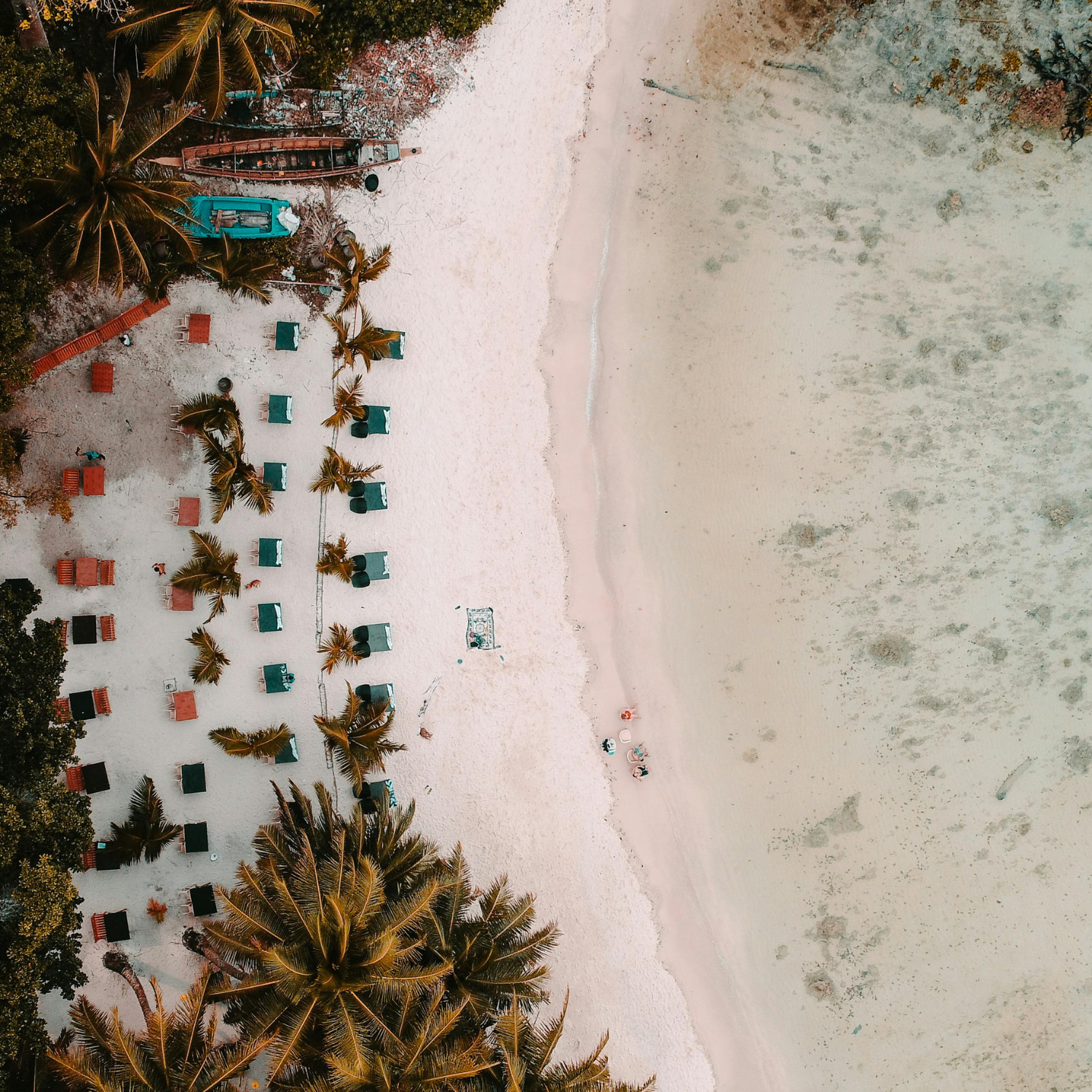River Cruise Tour on the Seine