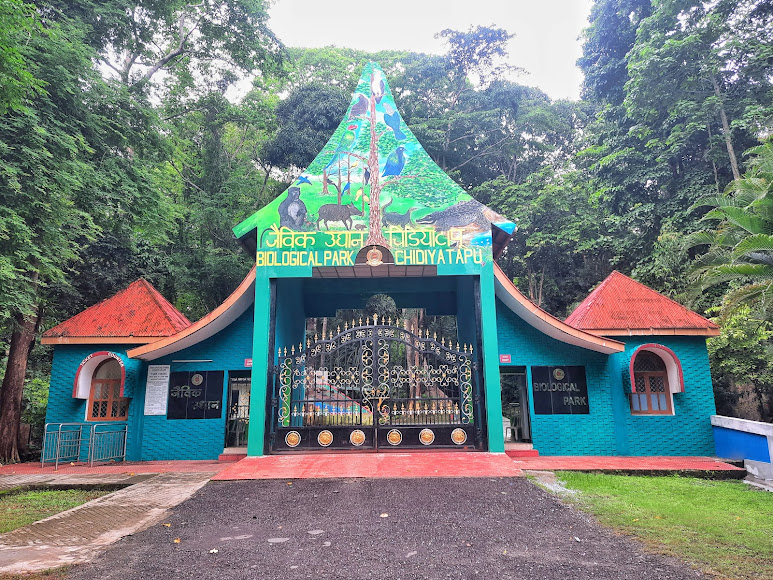 Forest, Beach & Sunrise or Sunset